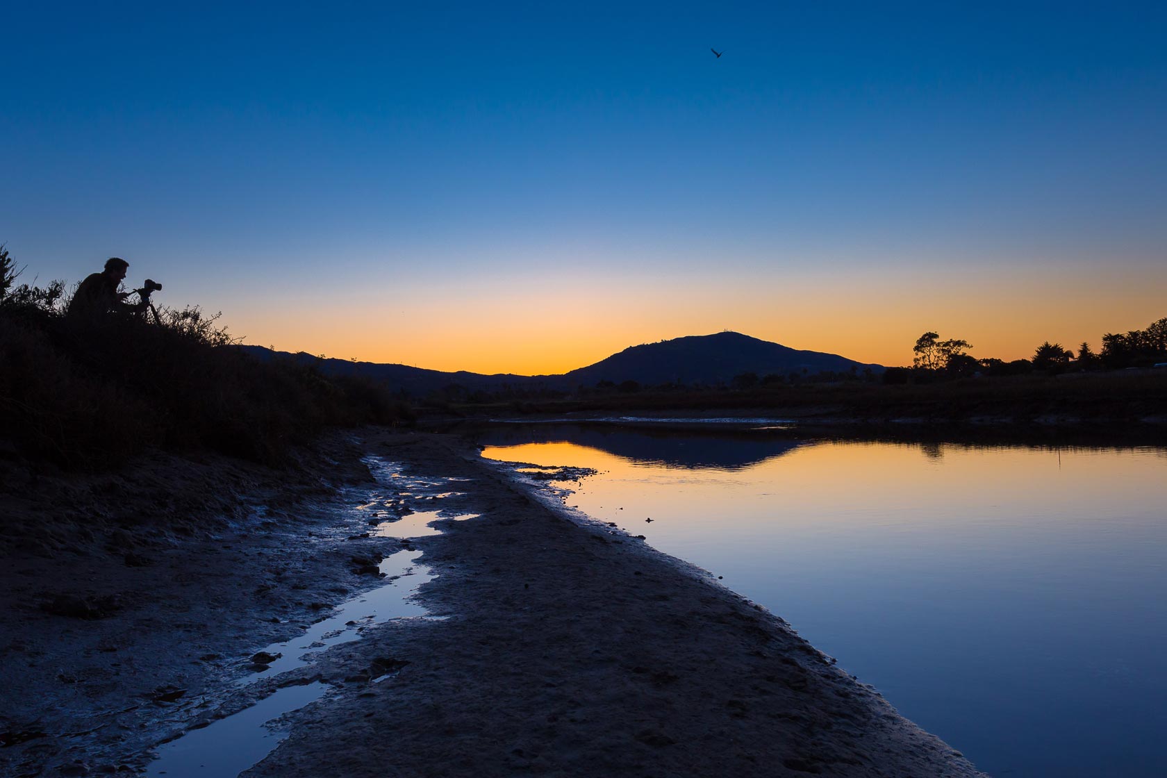 Carpinteria Salt Marsh