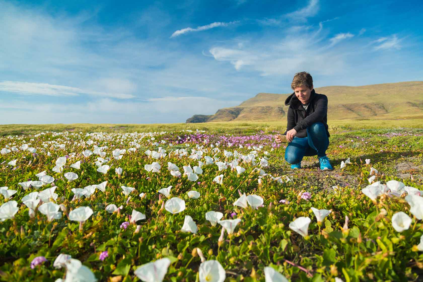 Santa Cruz Island Reserve