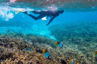 Mo’orea