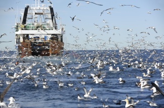 A trawler off the coast of South Africa