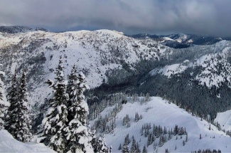 The trees in this lush, temperate forest in the Cascade Range of Washington are likely less resistant to drought than their counterparts in drier regions to the south.