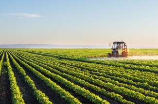 Organic farming practices can increase pesticide use in neighboring, non-organic fields.