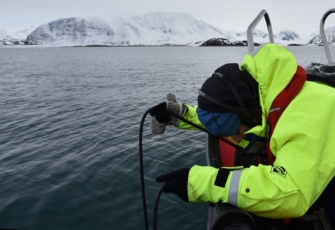 Hydrophone Jana Winderen