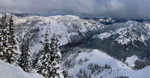 The trees in this lush, temperate forest in the Cascade Range of Washington are likely less resistant to drought than their counterparts in drier regions to the south.