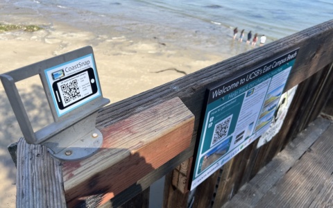 The CoastSnap cradle on the steps to East Campus Beach