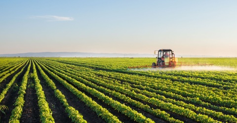 Organic farming practices can increase pesticide use in neighboring, non-organic fields.